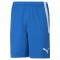 TEAMLIGA SHORTS POUR HOMME