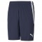 TEAMLIGA SHORTS POUR HOMME