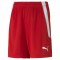 TEAMLIGA SHORTS POUR HOMME