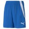 TEAMLIGA SHORTS POUR HOMME