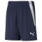 TEAMLIGA SHORTS POUR HOMME