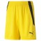 TEAMLIGA SHORTS POUR HOMME
