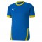 MAILLOT TEAMGOAL POUR HOMME