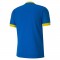 MAILLOT TEAMGOAL POUR HOMME