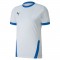 MAILLOT TEAMGOAL POUR HOMME