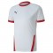 MAILLOT TEAMGOAL POUR HOMME