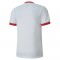 MAILLOT TEAMGOAL POUR HOMME