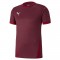 MAILLOT TEAMGOAL POUR HOMME