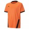 MAILLOT TEAMGOAL POUR HOMME