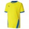 MAILLOT TEAMGOAL POUR HOMME