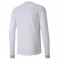 TEAM GOAL JERSEY LONG SLEEVE POUR HOMME