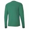 TEAM GOAL JERSEY LONG SLEEVE POUR HOMME