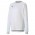 TEAM GOAL JERSEY LONG SLEEVE POUR HOMME