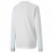 TEAM GOAL JERSEY LONG SLEEVE POUR HOMME