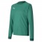 TEAM GOAL JERSEY LONG SLEEVE POUR HOMME