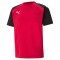 TEAM PACER JERSEY POUR HOMME