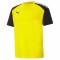 TEAM PACER JERSEY POUR HOMME