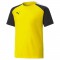 TEAM PACER JERSEY POUR HOMME