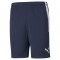 TEAMLIGA TRAINING SHORTS POUR HOMME