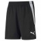 TEAMLIGA TRAINING SHORTS POUR HOMME