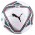 PUMA TEAMFINAL 21.2 FIFA QUALITY PRO BALL