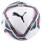 PUMA TEAMFINAL 21.3 FIFA QUALITY BALL