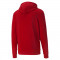 BOUTIQUE VESTE ZIPPÉ CAPUCHE PUMA TEAM GOAL ADULTE