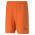 TEAM RISE SHORTS POUR HOMME