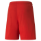 TEAM RISE SHORTS POUR HOMME