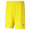 TEAM RISE SHORTS POUR HOMME