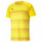 TEAMVISION JERSEY