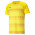 TEAMVISION JERSEY