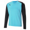 MAILLOT DE GARDIEN TEAM PACER
