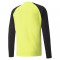 MAILLOT DE GARDIEN TEAM PACER