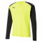 MAILLOT DE GARDIEN TEAM PACER