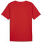 BOUTIQUE TEAMRISE MATCHDAY JERSEY ADULTE